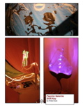 Page_13